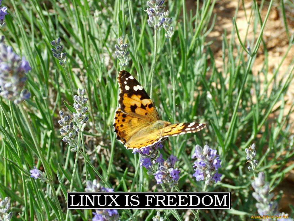 , linux
